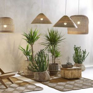 luminaires-rotin-plantes-decoration-l-immovation-home-staging-toulouse