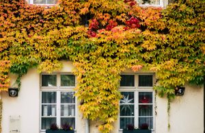 astuces-gardez-au-frais-interieur-exterieur-pendant-canicule-l-immovation