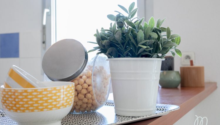 Avenue Jacques Douzans-04