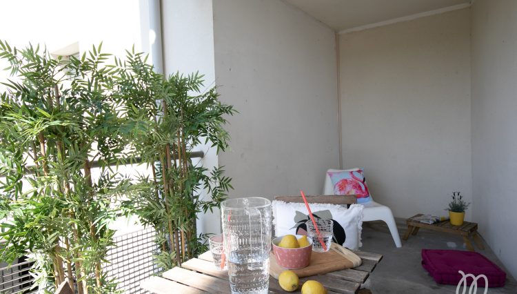 Avenue Jacques Douzans-17