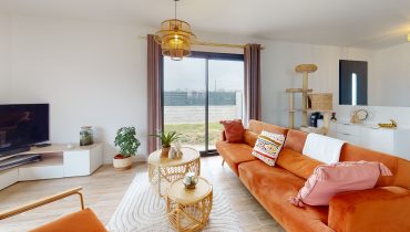 sandra carole living room