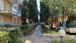 img 6558